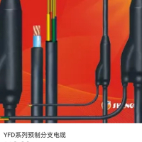 矿物质预分支电缆
